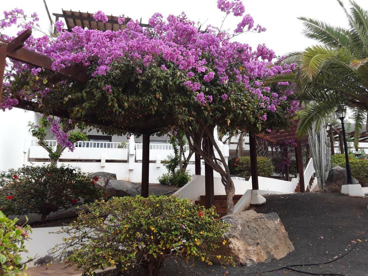 Le Farniente Apartment Costa Teguise Exterior photo